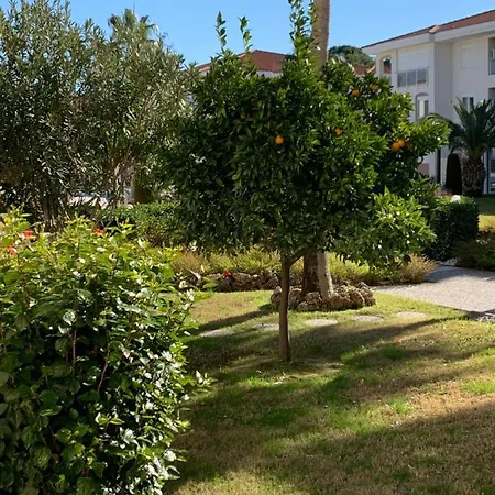 Apartment Four Seasons. Ilicia.